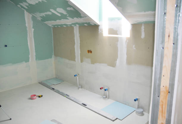 Forensic Mold Investigation in Polson, MT