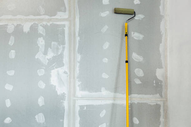 Best Real Estate Mold Inspection  in Polson, MT
