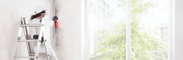 Dehumidification Services in Polson, MT